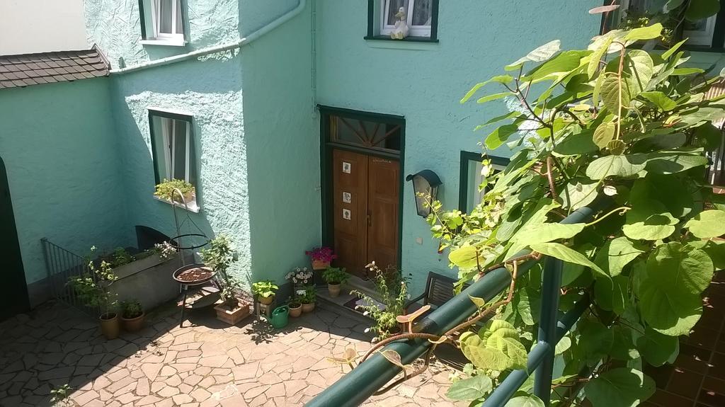 Am Bungert Apartment Mayschoß Екстериор снимка